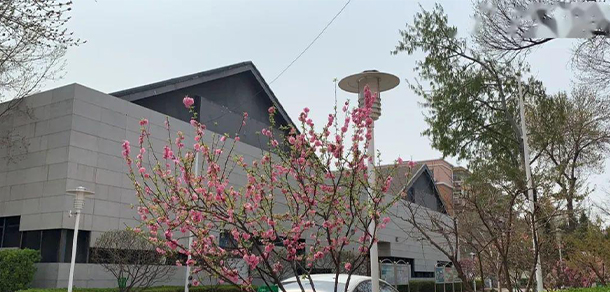 我的大學(xué)-大學(xué)志