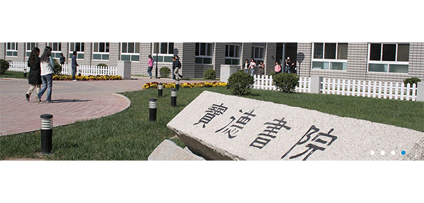 我的大學(xué)-大學(xué)志