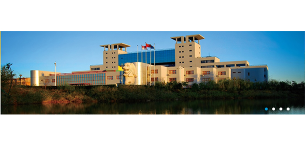 我的大學(xué)-大學(xué)志