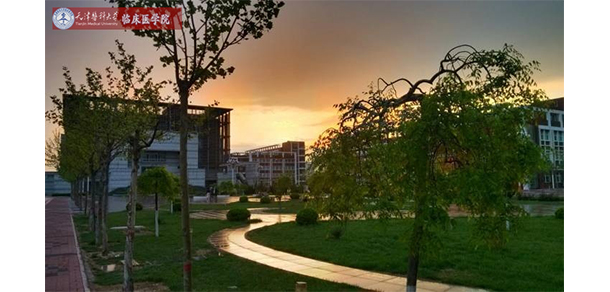 天津醫(yī)科大學臨床醫(yī)學院