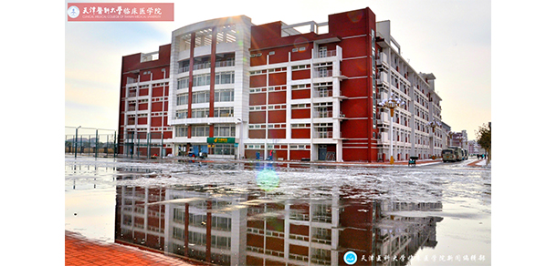 我的大學-大學志