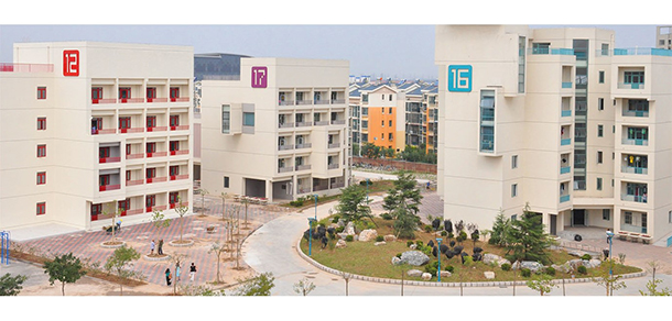 南開大學濱海學院