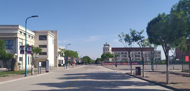 南開大學濱海學院