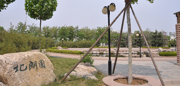 我的大學(xué)-大學(xué)志