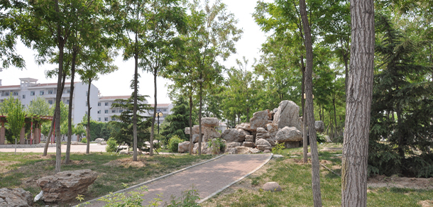 我的大學(xué)-大學(xué)志