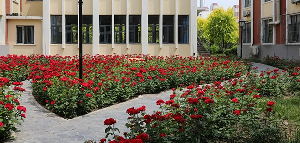 天津農(nóng)學院 - 最美大學