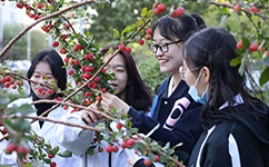 天津農(nóng)學院 - 我的大學