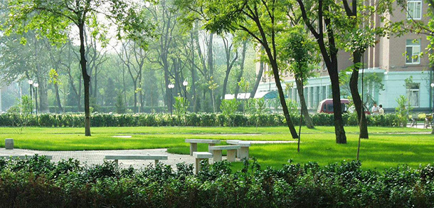 天津醫(yī)科大學 - 最美大學