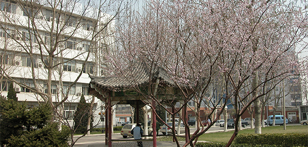 天津醫(yī)科大學 - 最美大學
