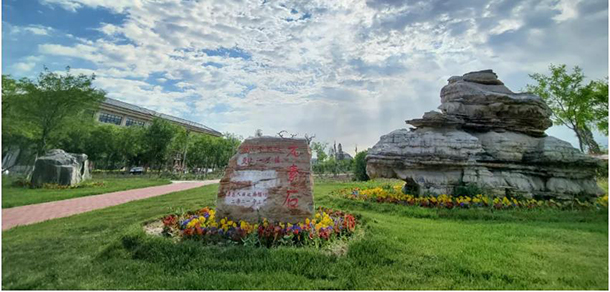我的大學(xué)-大學(xué)志