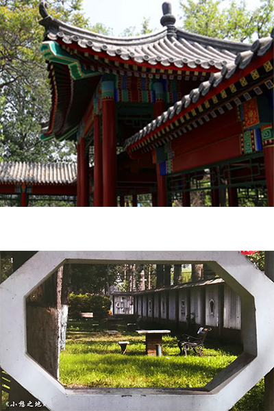 天津醫(yī)學(xué)高等?？茖W(xué)校