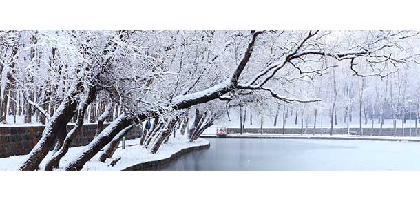 新疆大學 - 最美院校