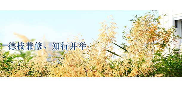 吐魯番職業(yè)技術學院 - 最美院校
