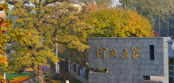 我的大學(xué)-大學(xué)志