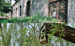 歷史沿革（概）校史