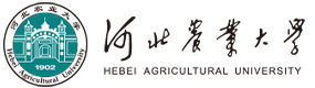 2021年-2025年高考招生資訊