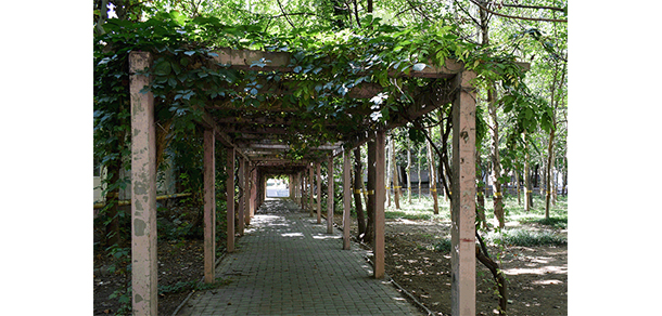 石家莊城市經(jīng)濟職業(yè)學院
