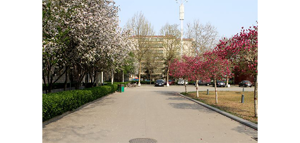 石家莊職業(yè)技術(shù)學院 - 最美大學