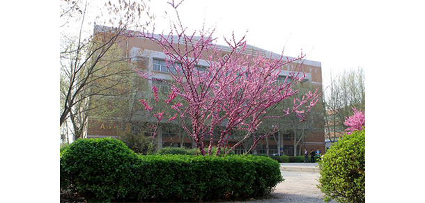 石家莊職業(yè)技術(shù)學院 - 最美大學