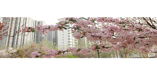 河北正定師范高等?？茖W(xué)校 - 最美大學(xué)
