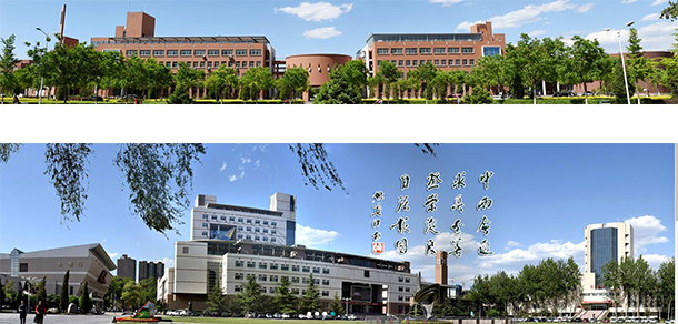 我的大學(xué)-大學(xué)志