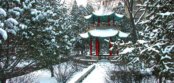 我的大學(xué)-大學(xué)志