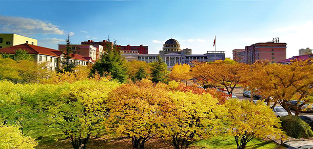 我的大學-大學志