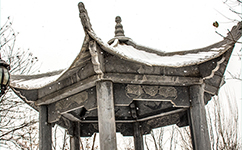 歷史沿革（概）校史