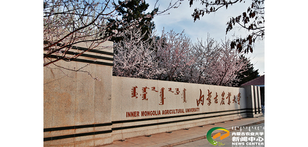 內蒙古農(nóng)業(yè)大學 - 最美大學