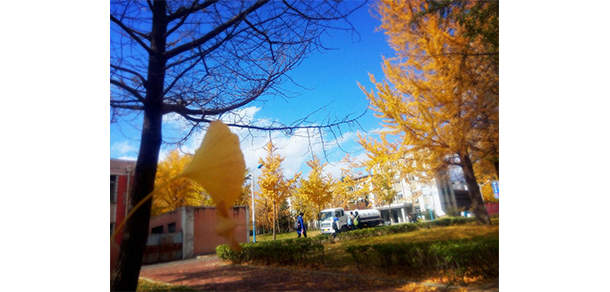 我的大學(xué)-大學(xué)志