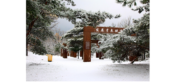 大連大學 - 最美大學
