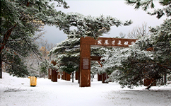 大連大學 - 我的大學