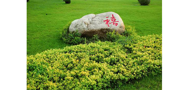 遼寧職業(yè)學院 - 最美大學