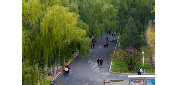 沈陽職業(yè)技術學院 - 最美大學