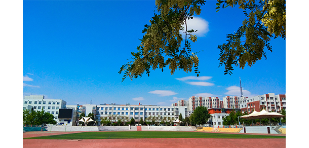 遼寧石化職業(yè)技術(shù)學院 - 最美院校