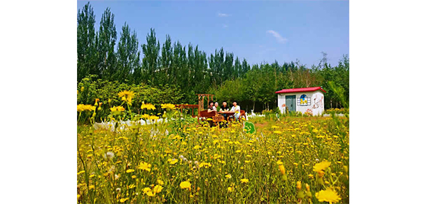 沈陽北軟信息職業(yè)技術(shù)學(xué)院 - 最美院校