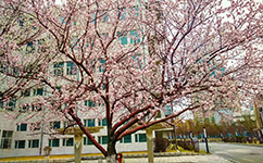 長春工程學院 - 我的大學