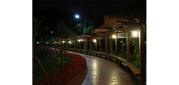 我的大學(xué)-大學(xué)志