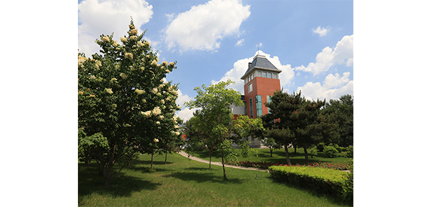 我的大學(xué)-大學(xué)志