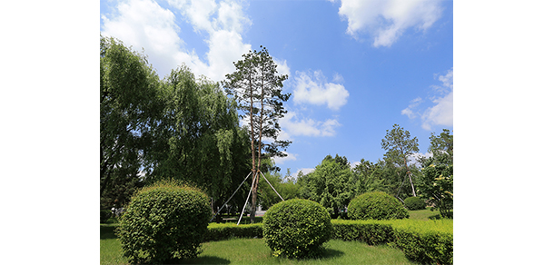 我的大學(xué)-大學(xué)志