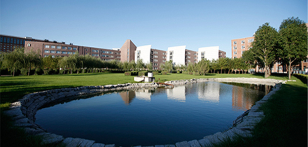 我的大學(xué)-大學(xué)志