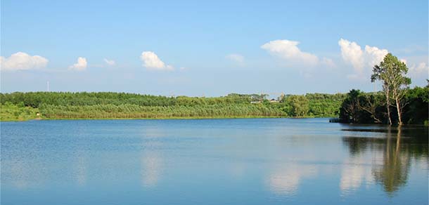 吉林農(nóng)業(yè)大學 - 最美院校
