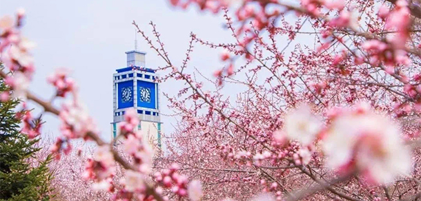 我的大學(xué)-大學(xué)志