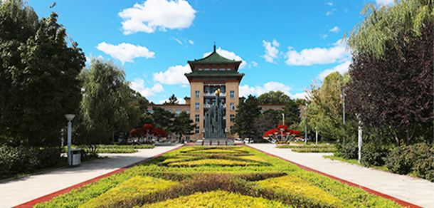 我的大學(xué)-大學(xué)志