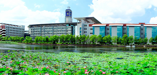我的大學(xué)-大學(xué)志