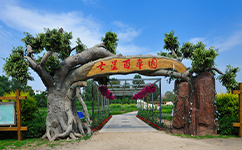 歷史沿革（概）校史