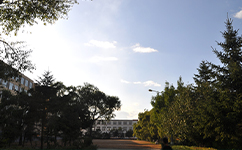 吉林電子信息職業(yè)技術(shù)學院 - 我的大學