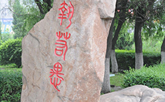長春醫(yī)學(xué)高等?？茖W(xué)校 - 我的大學(xué)