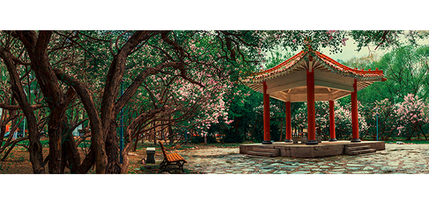 黑龍江大學(xué)