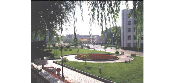 我的大學(xué)-大學(xué)志